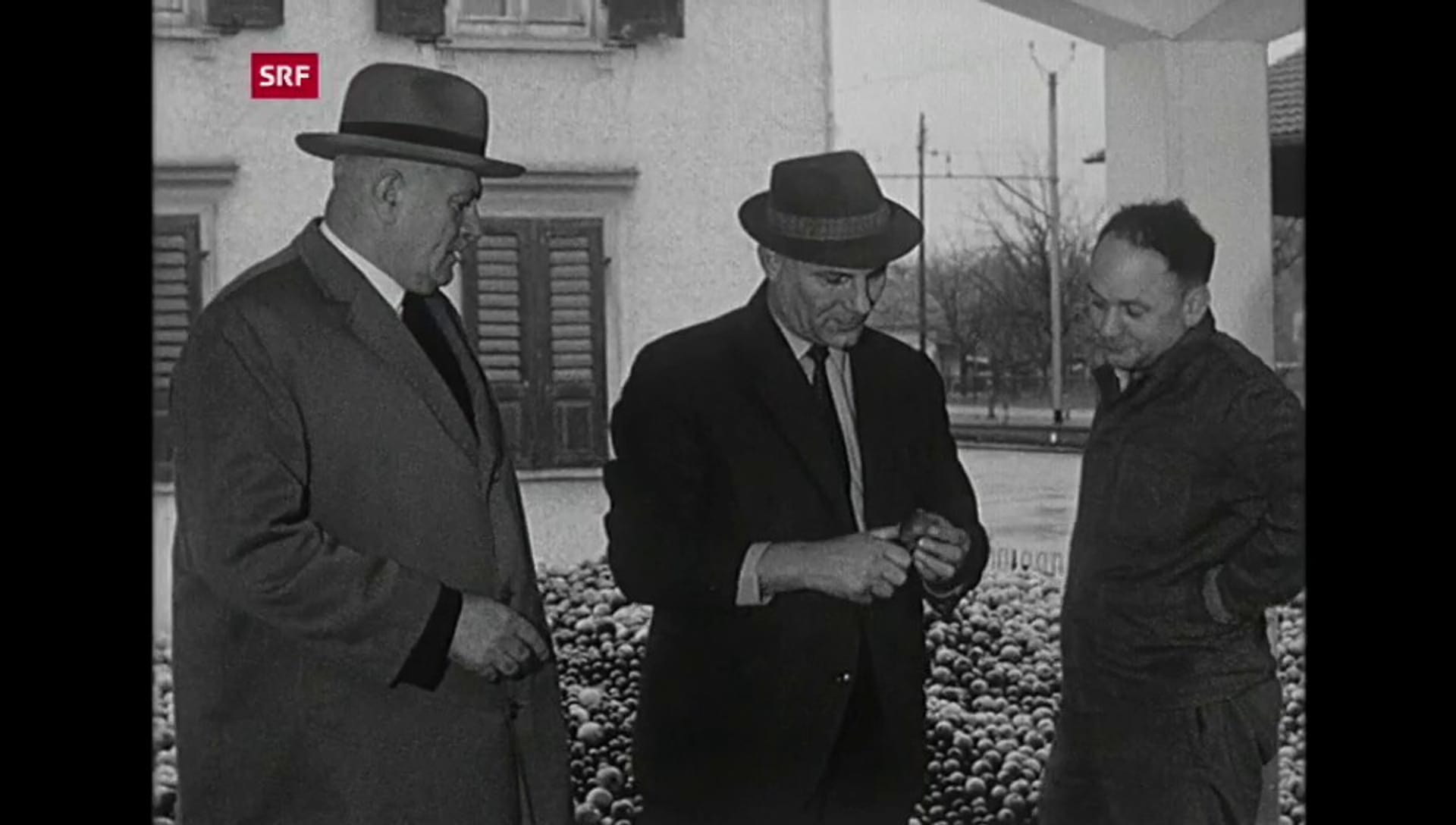 Antenne Porträt NRP Otto Hess Play SRF