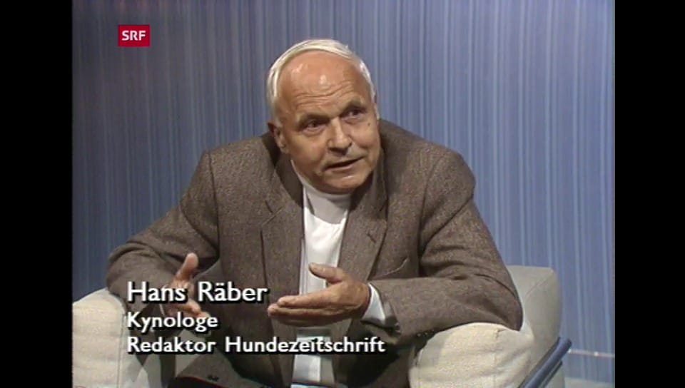 MTW - Studiogespräch Räber - Play SRF