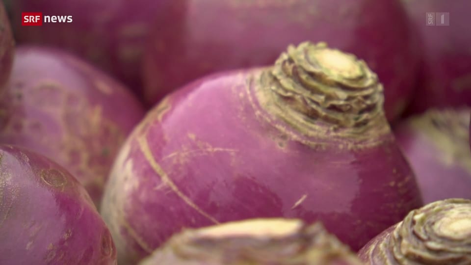 Schweiz aktuell RäbeliechtliUmzug in Andelfingen ZH Play SRF