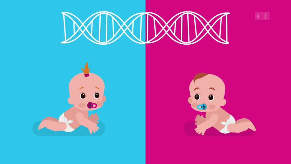 Ärzte VS Adrenogenitales Syndrom Play SRF