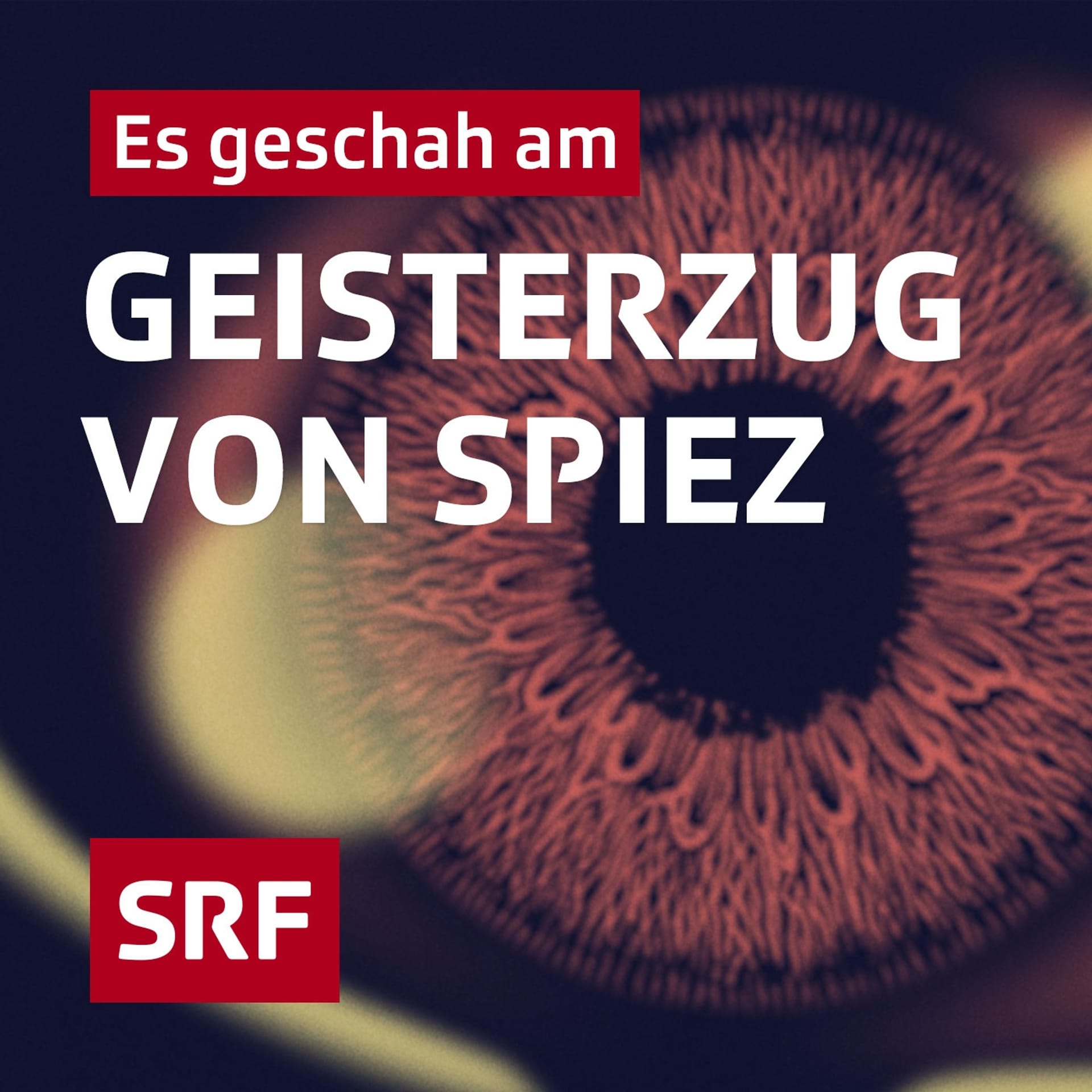 Zivadiliring Audio & Podcasts SRF