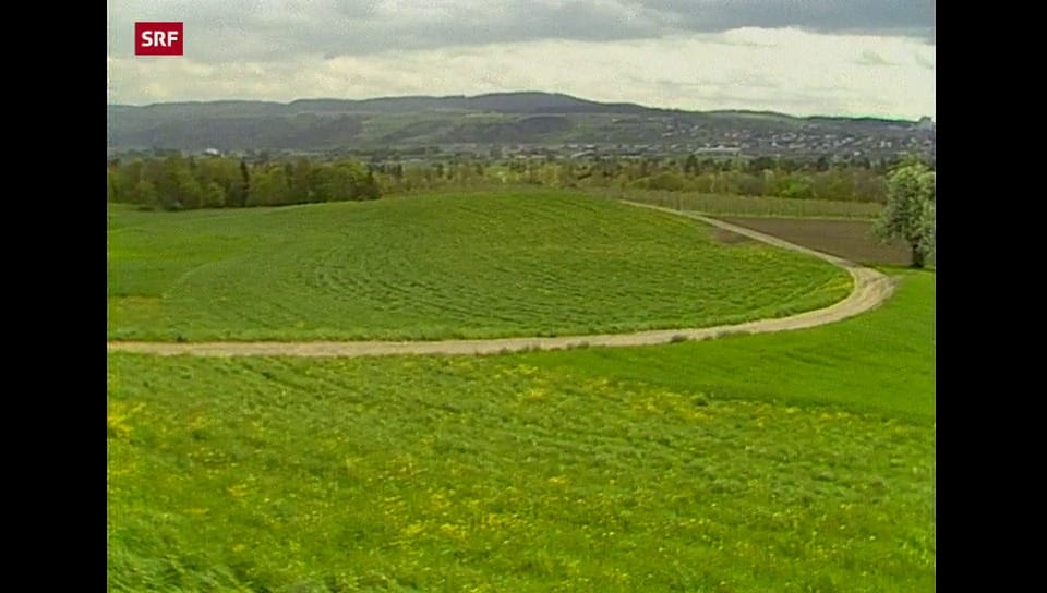 DRS Aktuell Waffenplatz Frauenfeld Play SRF