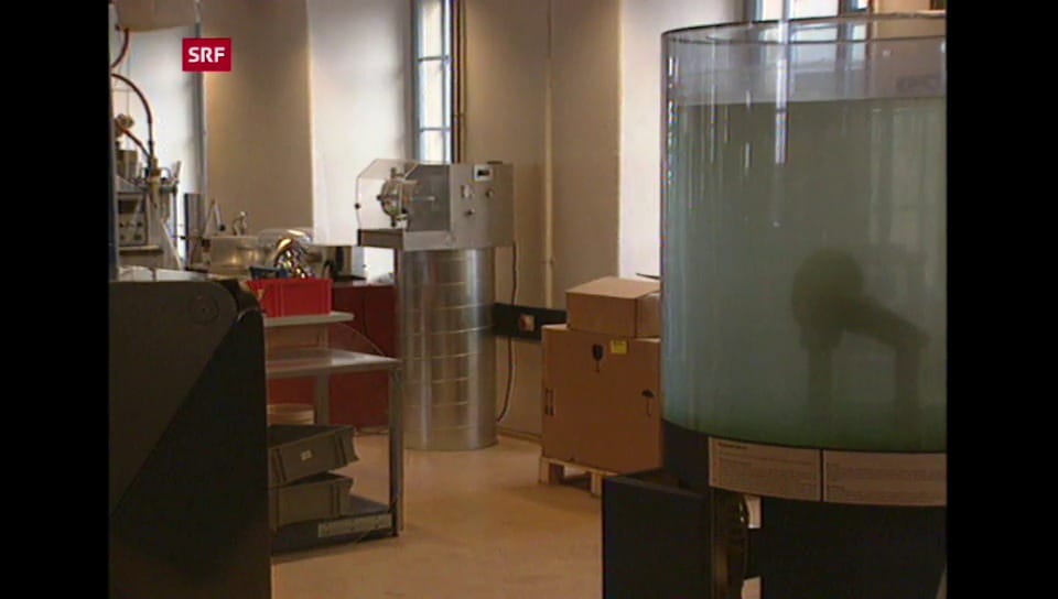 10 vor 10 Attentat in Wald Play SRF