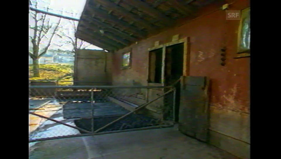 DRS Aktuell Arenenberg TG Play SRF