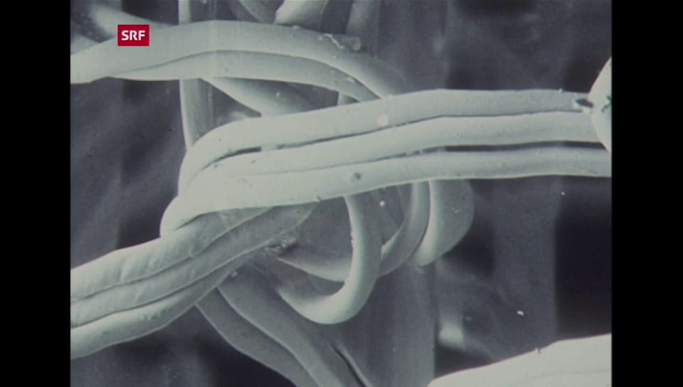 MTW RasterelektronenMikroskop Play SRF