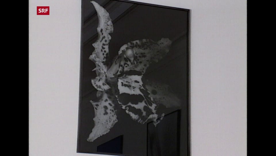 Kultur aktuell Balthasar Burkhard Play SRF