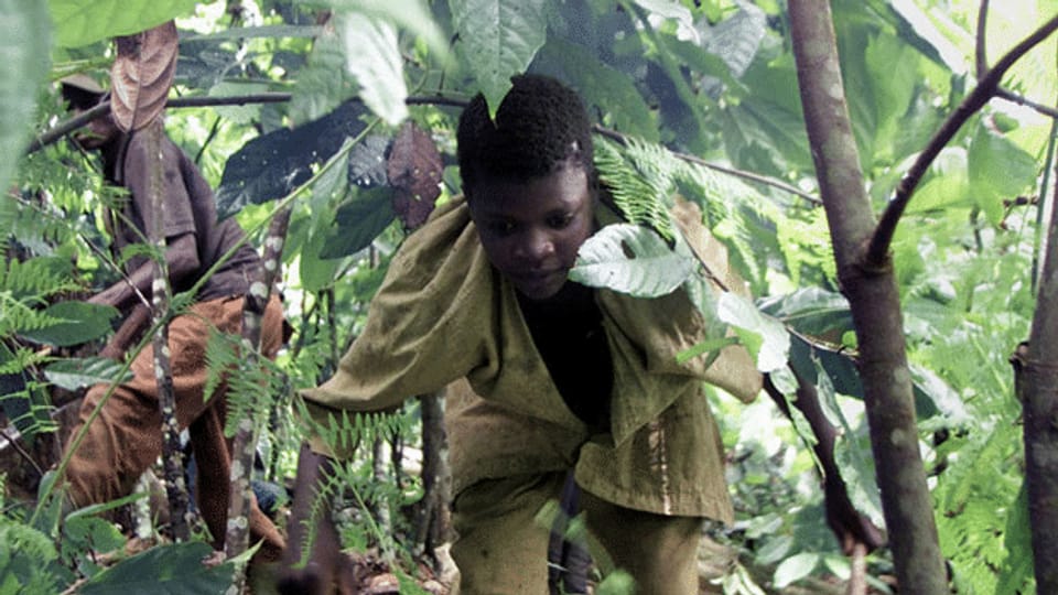 Kakaoplantagen in Westafrika - In Schokolade steckt immer noch viel ...