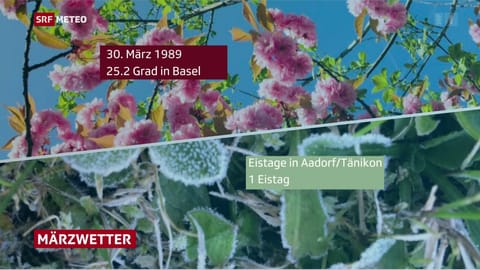 Sandra Boner im Meteo am Mittag - Play SRF