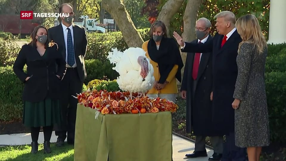 Tagesschau - Thanksgiving: Amerikaner fliegen trotz Corona nach Hause - Play SRF