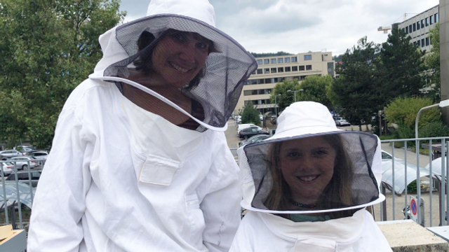 Ein Sommer mit viel Regen: Für Bienen eine Katastrophe