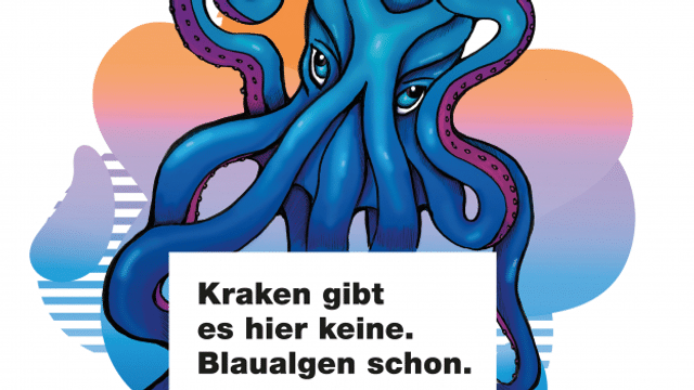 Archiv: Kanton St. Gallen warnt mit Info-Kampagnen vor Blaualgen