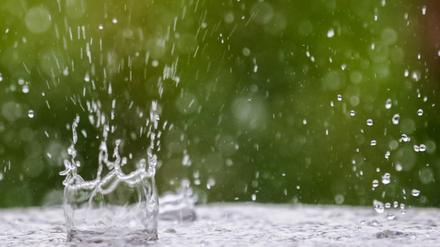 Der Duft Nach Sommerregen Radio Play Srf