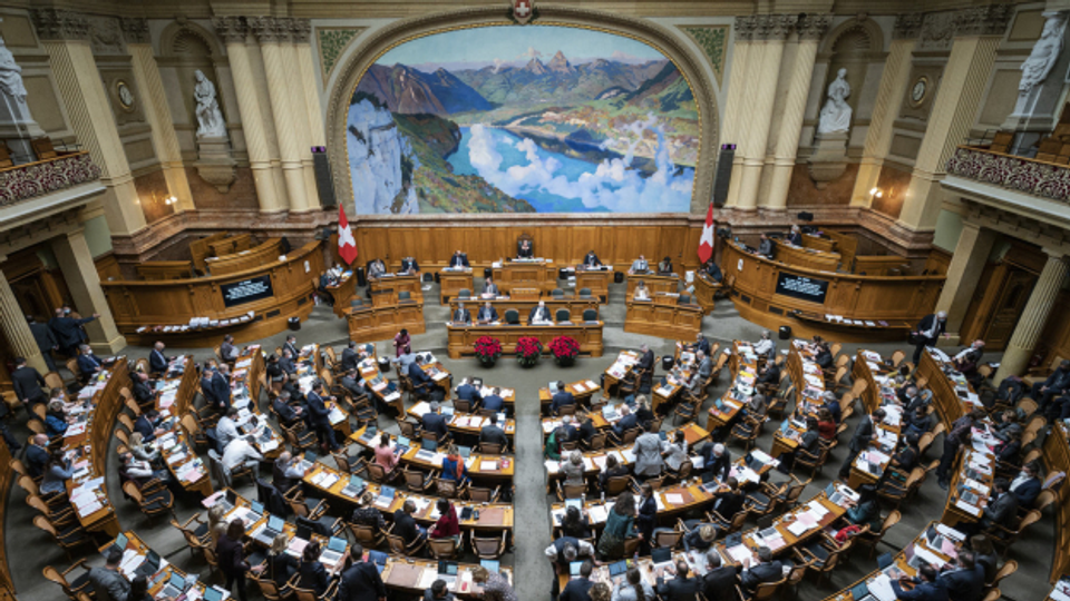 Wo bleibt der Migrationshintergrund im Schweizer Parlament?