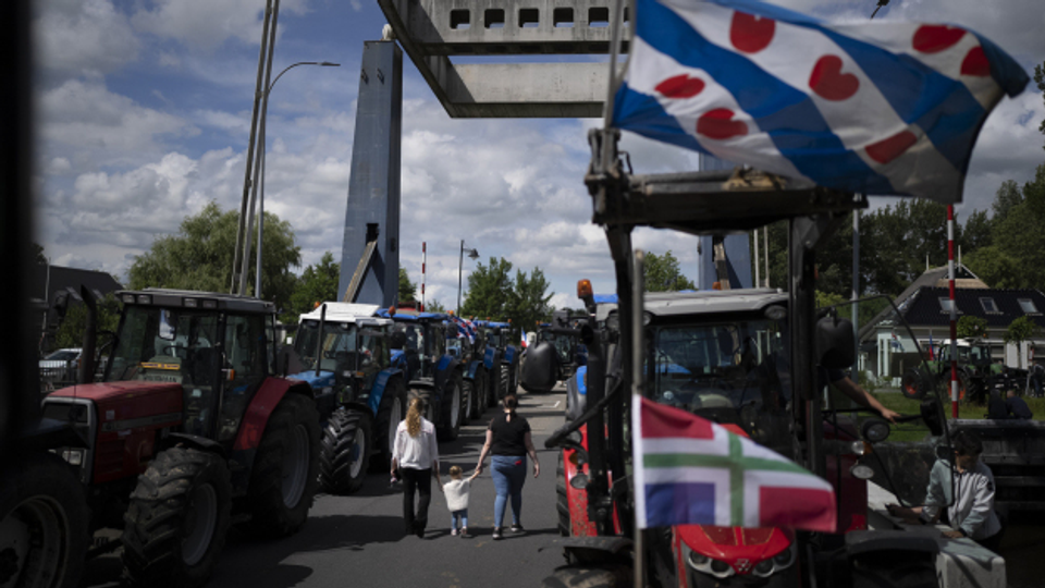 Niederlande: Bauern-Proteste gegen Stickstoff-Reduktion