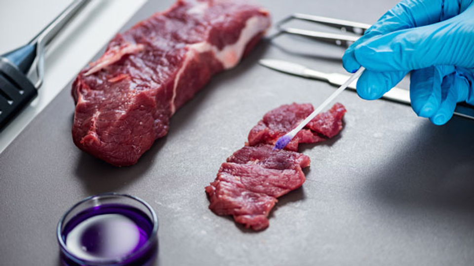 Fleisch aus dem Labor – ein Milliardengeschäft?