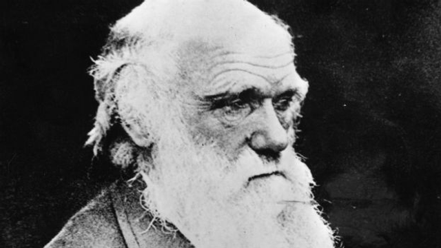 Charles Darwin und seine Evolutionstheorie