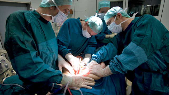 «Durchbruch in der Transplantations-Medizin»