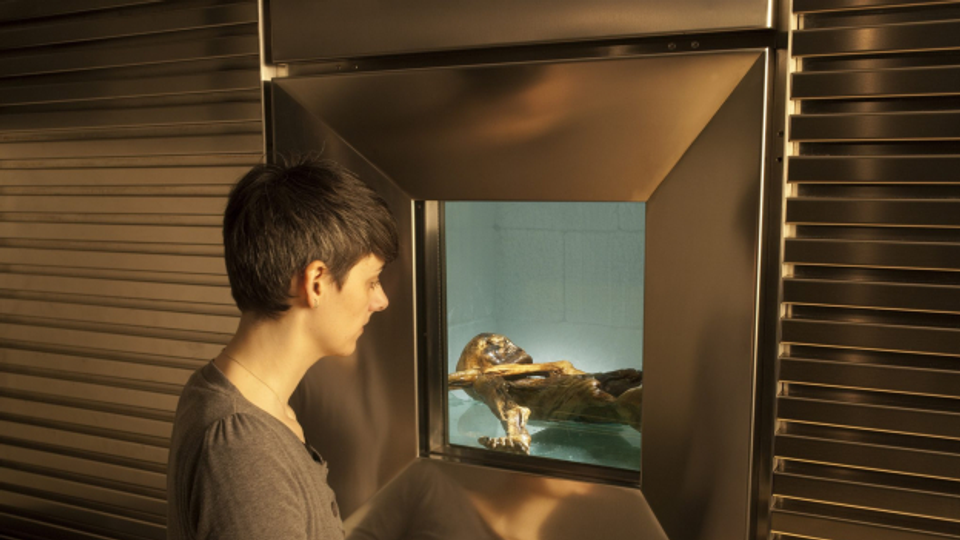 Ötzi: Der Mann aus dem Eis als Weckruf