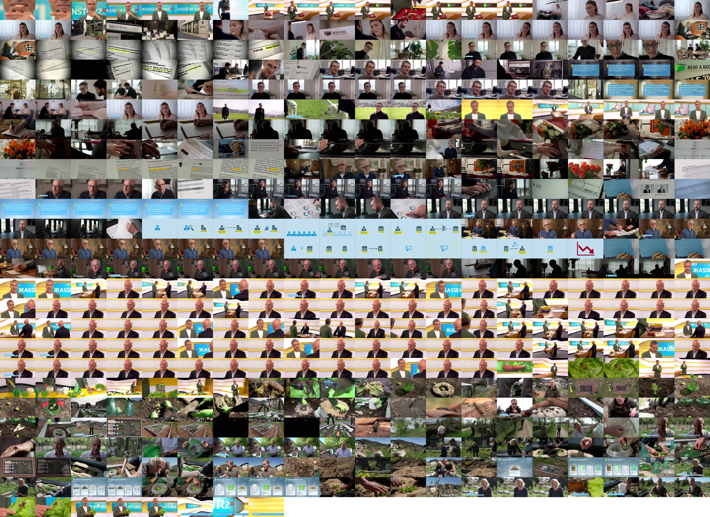 Hat die Aufsicht versagt bei Vermögensverwalter Wendelspiess? - Kassensturz  - Play SRF